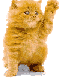chat3.gif (6903 octets)